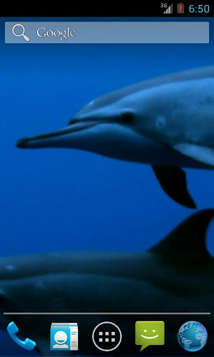 Android application Wild Dolphins Video Wallpaper screenshort