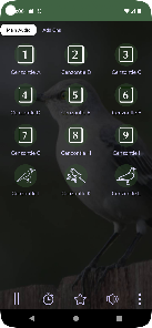 Screenshot 1 Cenzontle o Sinsonte Cantando android