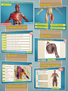 Captura 1 Easy Anatomy 3D(learn anatomy) android