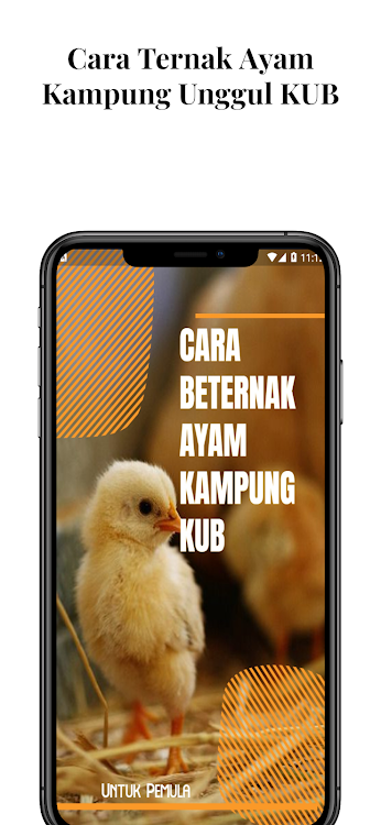 Ternak Ayam Kampung Unggul KUB - 1.3.3 - (Android)