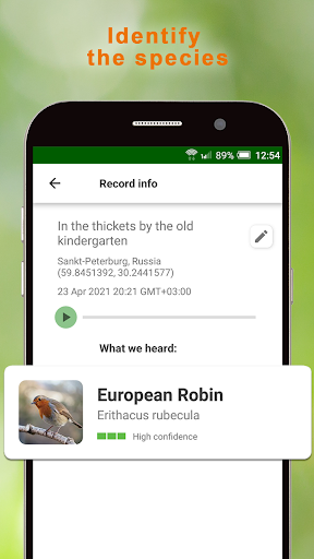 BirdNerd: Bird Song Identifier Screen 2