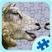 Fun Jigsaw Puzzles Games Icon