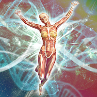 999+ Human Body and Health Facts