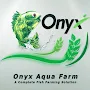 Onyx Aqua