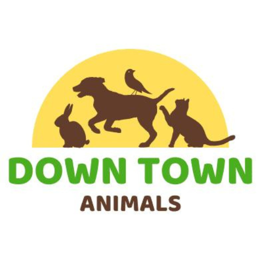Down Town Animals