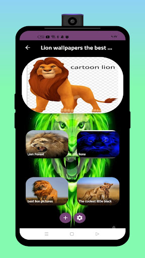 lion pictures wallpapers