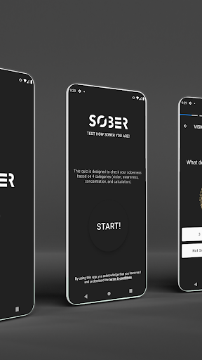 SoberCheck -Test Your Sobriety Screen 2