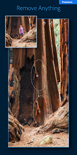 Adobe Lightroom: Photo Editor Screenshot