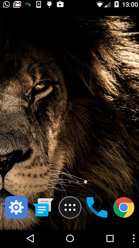 lion face wallpaper Screen 2