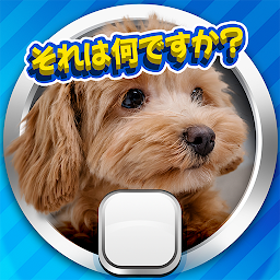 想像してみてください! クローズアップ画像ゲーム Mod Apk
