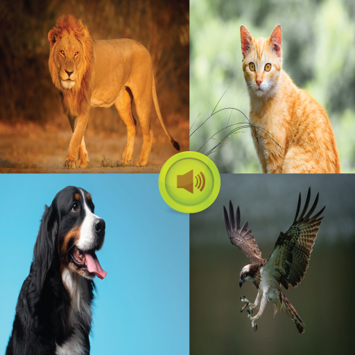 Animals Sound Prank logo