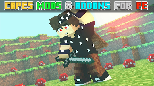 Capes Mods and Addons 1