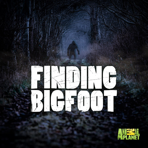 Finding Bigfoot TV on Google Play