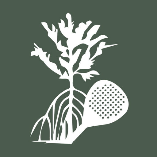Montagu Padel logo