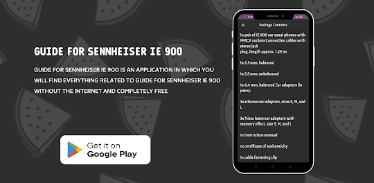 Sennheiser IE 900 Guide
