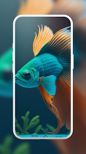 Aquarium Betta Fish Wallpaper