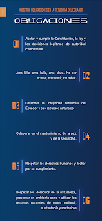 Voces del Futuro en Democracia screenshot 8