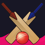 Cricket bat ball game 753