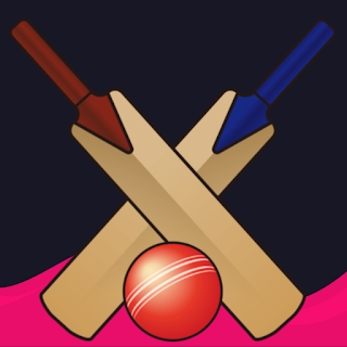 Cricket bat ball game 753 apk