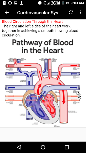 Anatomy and Physiology Screenshot 4 - AppWisp.com