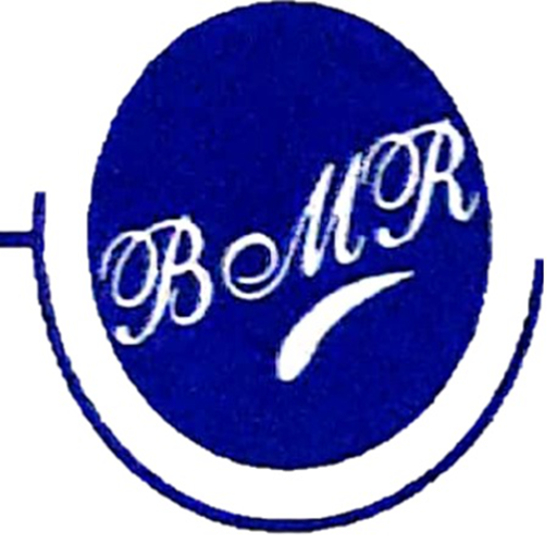 BMR BULKER logo