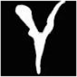The Y Show icon