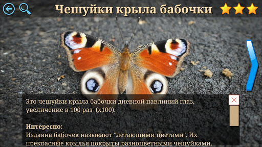 Тайны Микромира - викторина