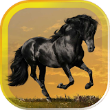 Horses Best live wallpaper icon