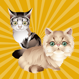 Cat and Kitten Sound Effects icon