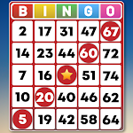 Cover Image of Télécharger Bingo Classic Game - Hors ligne  APK