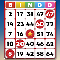 Bingo Classic Game - Offline Free