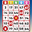 Bingo Classic - Offline Game