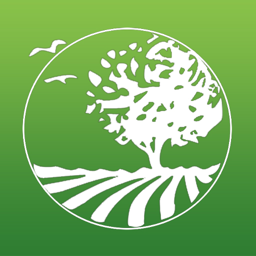 Verdejar logo