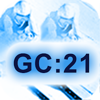 Ghost Copy 21 (GC:21) for Ski 