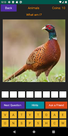 Animal Quiz - Screenshot 1