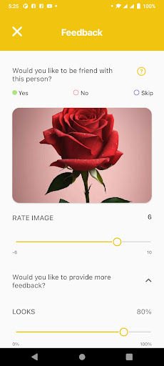 Sexual Marketplace Value Screen 3