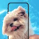 子犬のライブ壁紙 - Androidアプリ