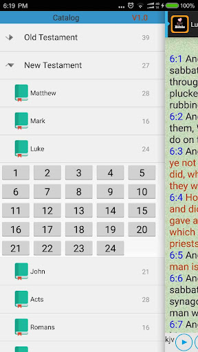 KJV Red Letter Audio Bible Screen 2
