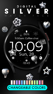 Digital Silver Watch Face