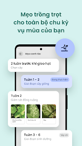 Ảnh chụp màn hình