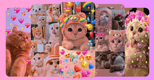 Kitten wallpapers - Cat images