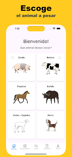 Anteprima dell'app