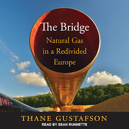 Obraz ikony: The Bridge: Natural Gas in a Redivided Europe