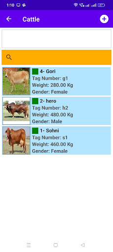 My Cattle Farm Screen 2