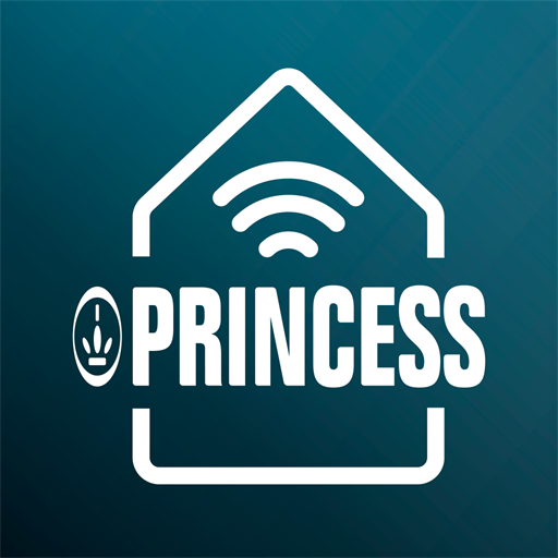 Princess Home  Icon
