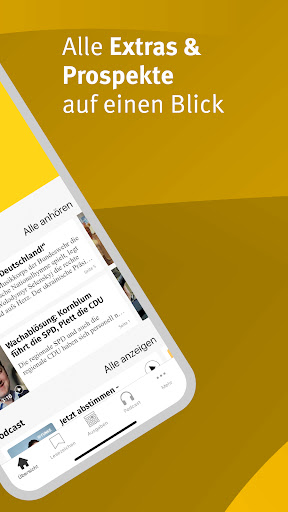 Braunschweiger Zeitung E-Paper Screen 2