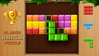 screenshot of Brick Classic - Brick Game