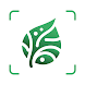 AI Plant Identifier App - Androidアプリ