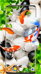 Koi Pet Fish Wallpaper