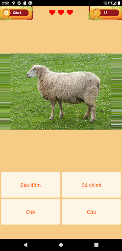 Android application Động vật - Nhìn hình đoán tên screenshort